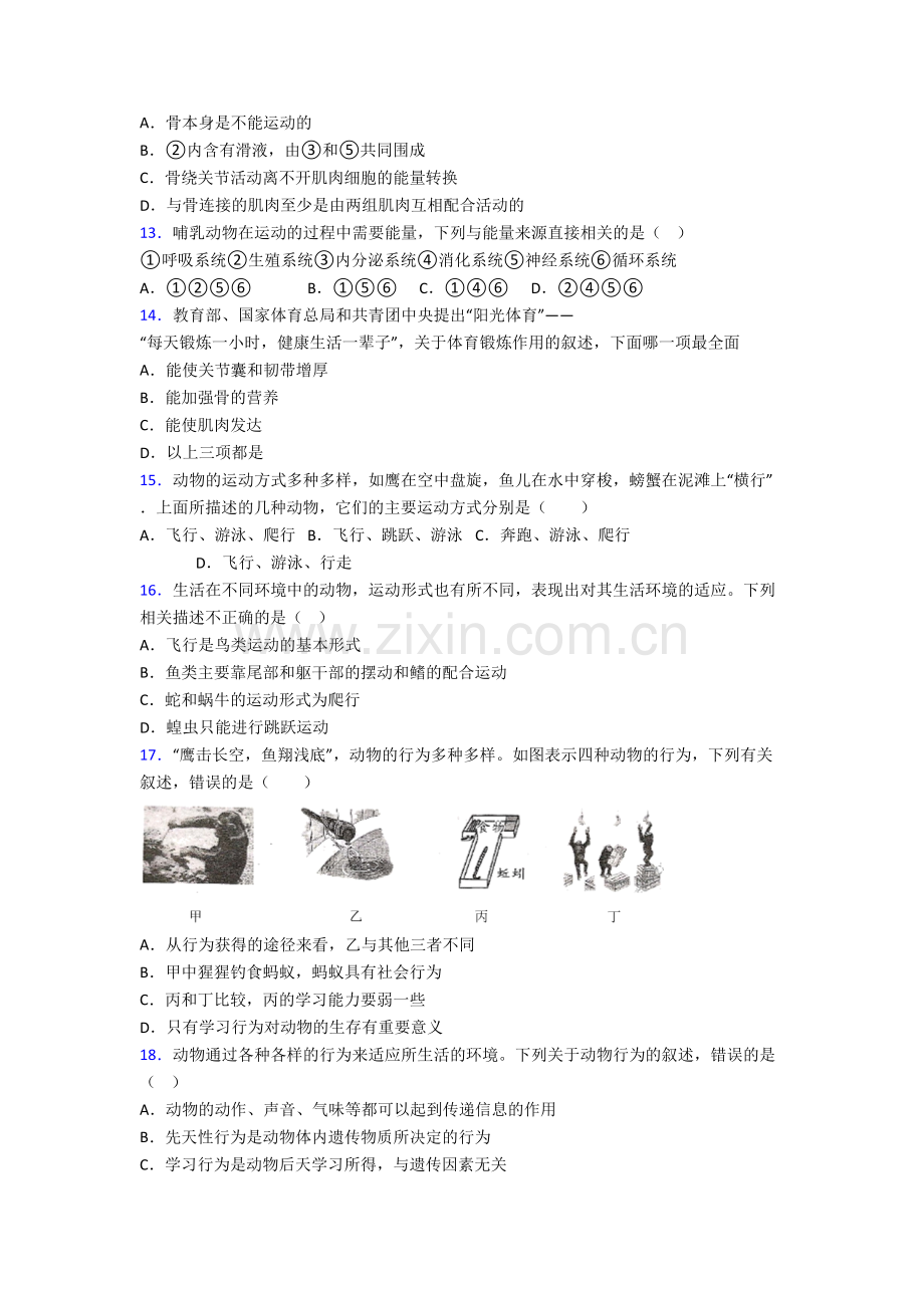 初二上学期期末模拟生物综合检测试卷含答案.doc_第3页