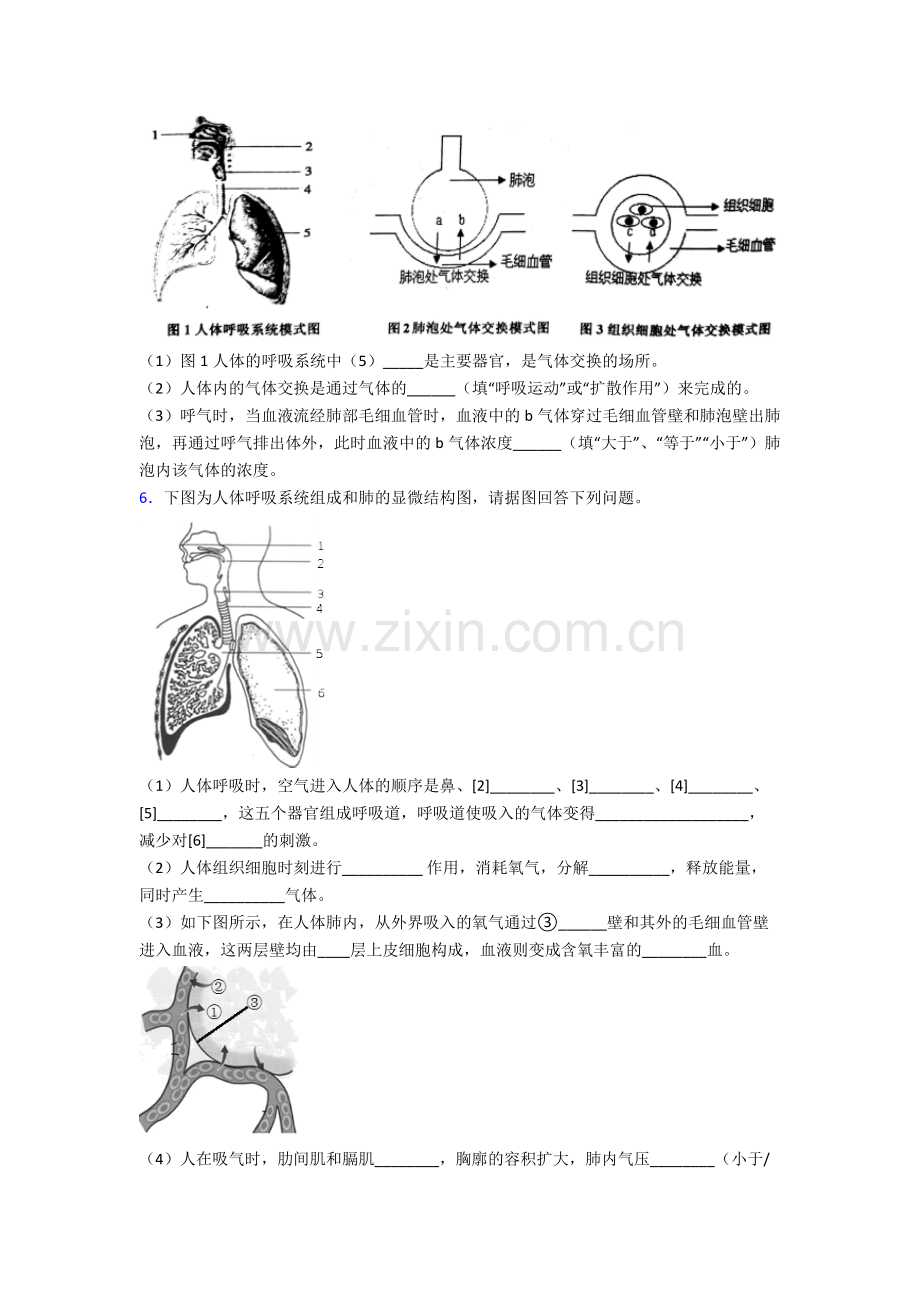 2024年人教版初一下册生物期末解答实验探究大题试题(及答案)完整.doc_第3页