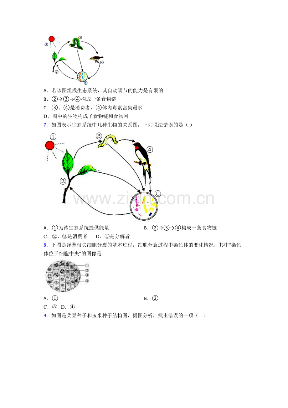 七年级上册期末生物综合试卷答案-(2).doc_第2页