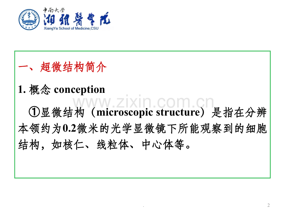 超微结构学概述.ppt_第2页