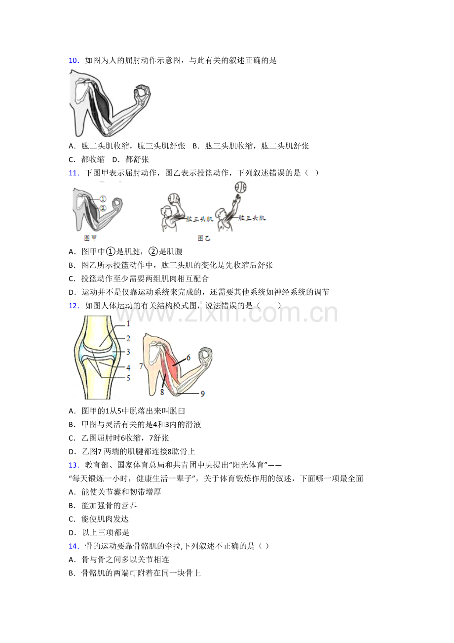 上海西南位育中学生物八年级上册期末试卷.doc_第2页