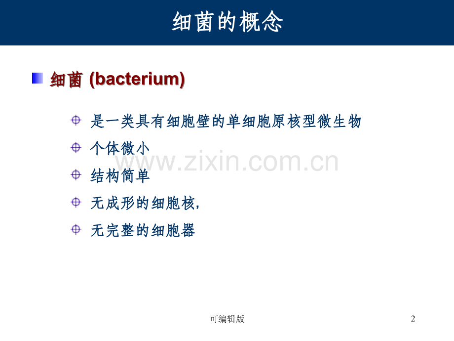 细菌的形态与结构(1).ppt_第2页