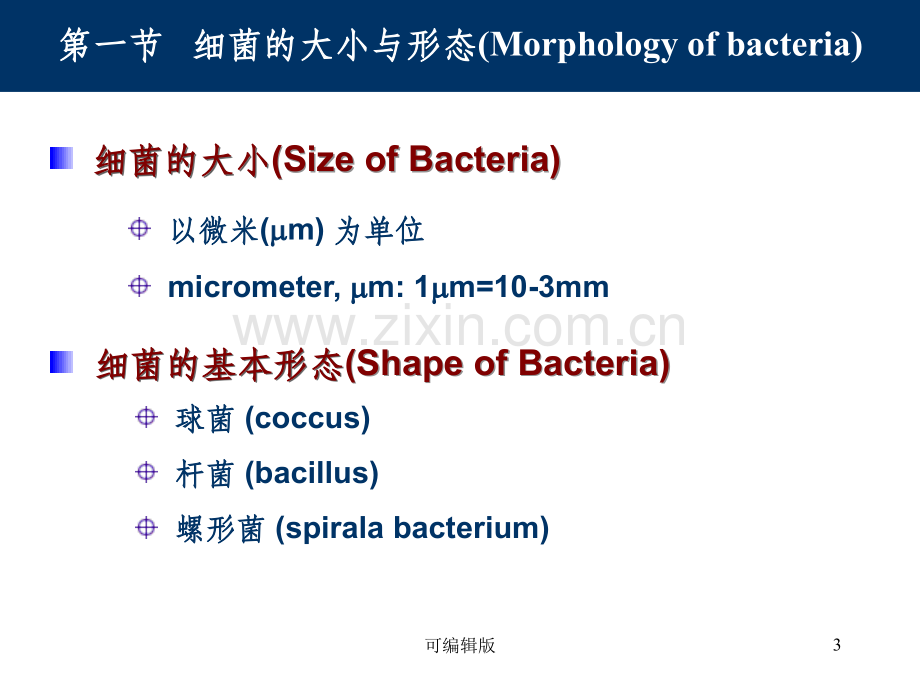 细菌的形态与结构(1).ppt_第3页