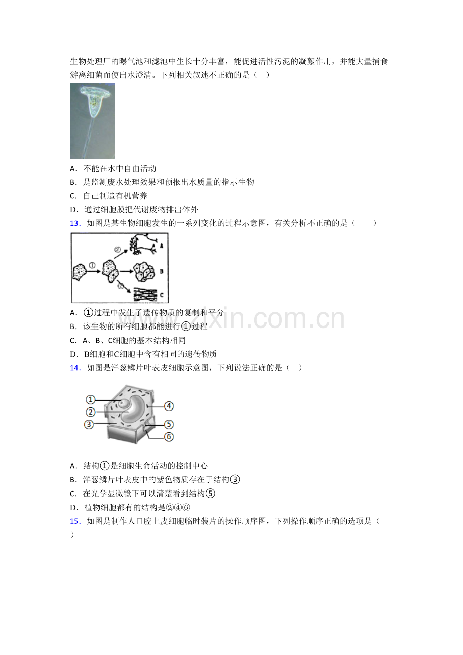 初一上册期末强化生物检测试卷附解析(-)-(3).doc_第3页