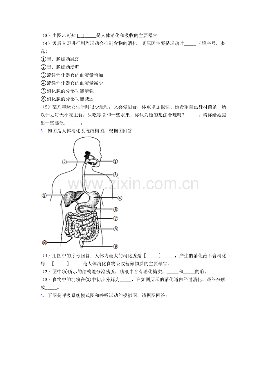 2022年人教版初一下册生物期末解答实验探究大题质量检测附答案.doc_第2页