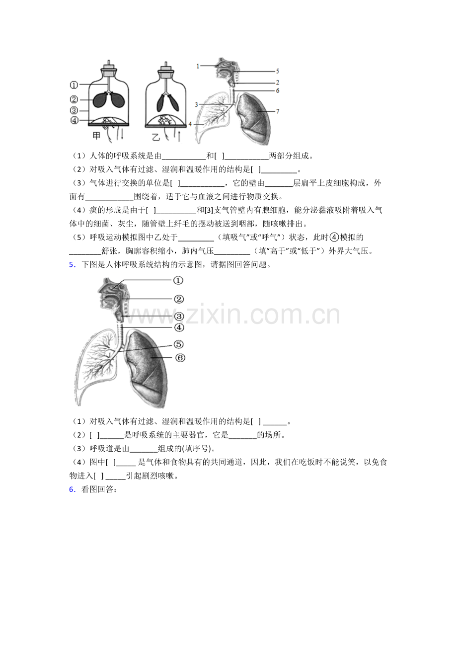 2022年人教版初一下册生物期末解答实验探究大题质量检测附答案.doc_第3页