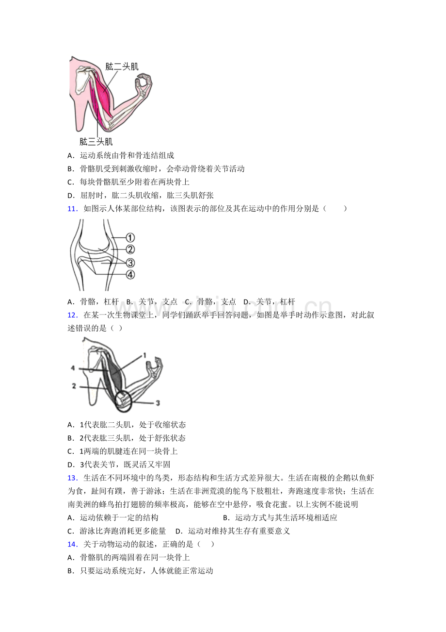 郑州市第一中学生物八年级上册期末试卷含答案-(2).doc_第2页