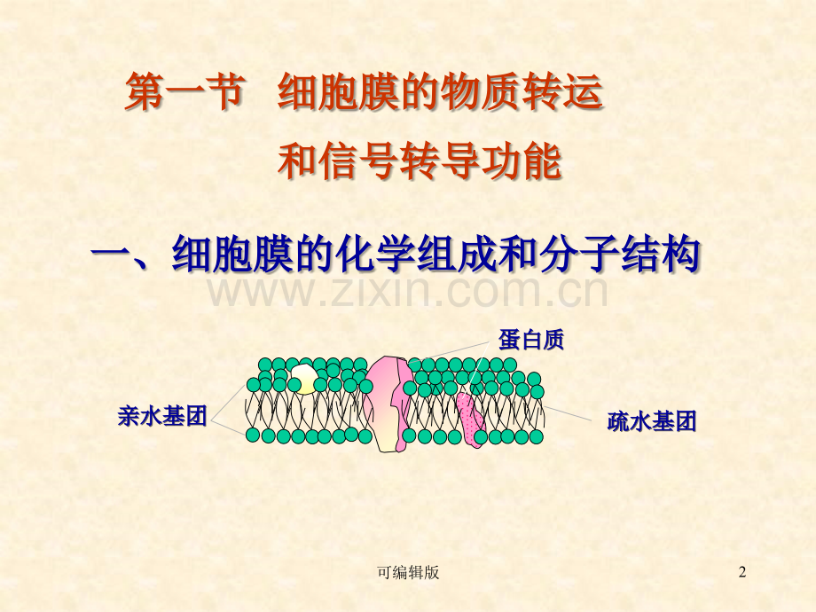 细胞的基本功能(6).ppt_第2页