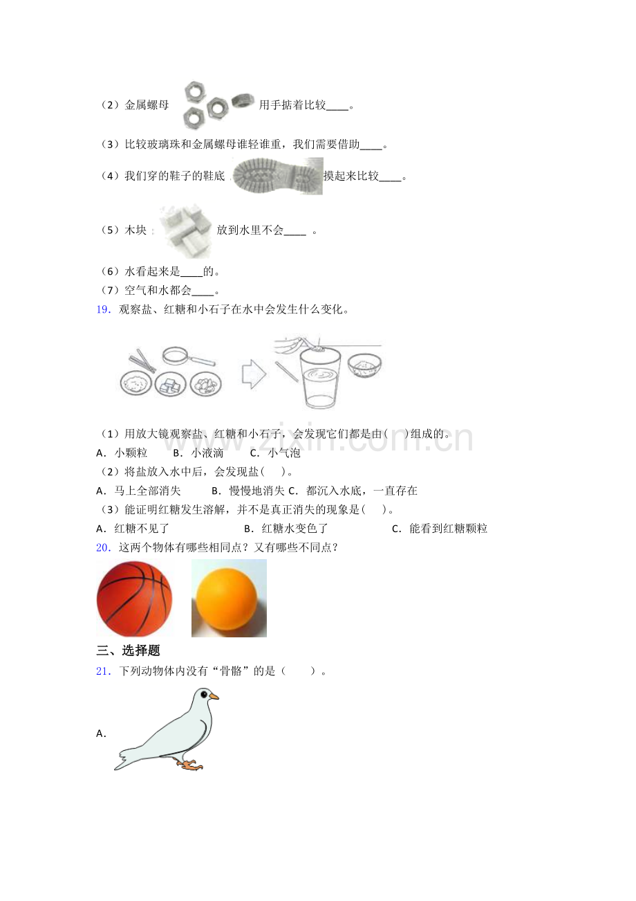 一年级科学期末试卷检测题(Word版含答案).doc_第3页