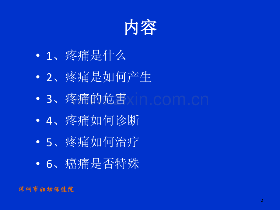 疼痛学概述.ppt_第2页