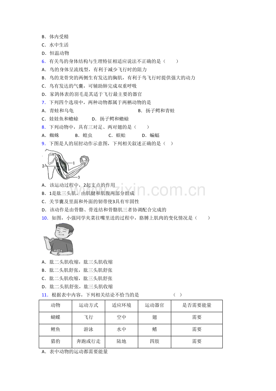 八年级上册期末模拟生物综合试题含答案.doc_第2页