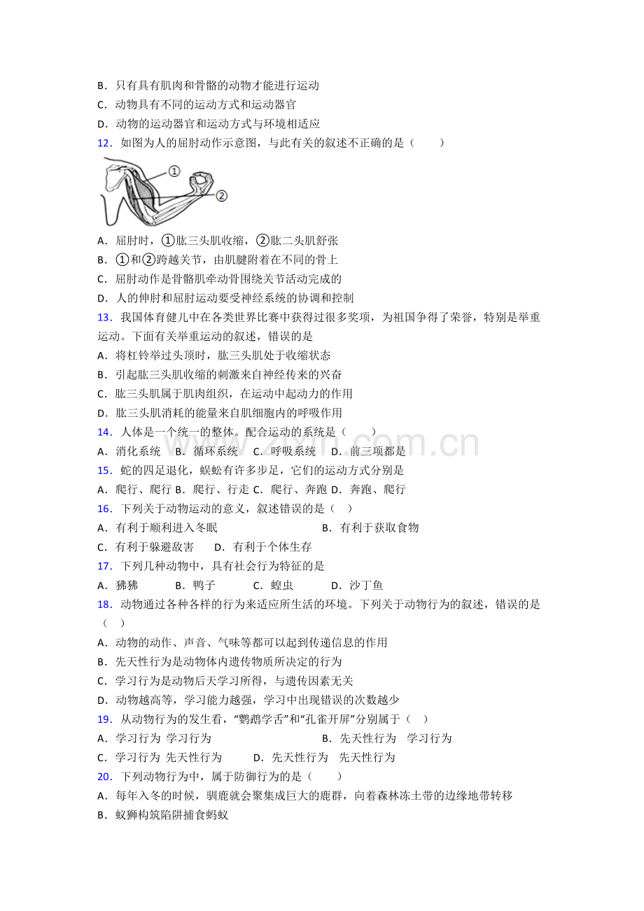 八年级上册期末模拟生物综合试题含答案.doc_第3页