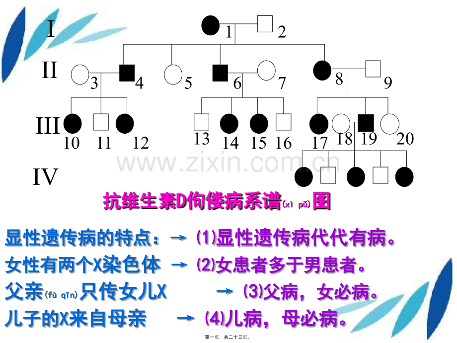 第17讲--遗传病解题方法.ppt_第1页