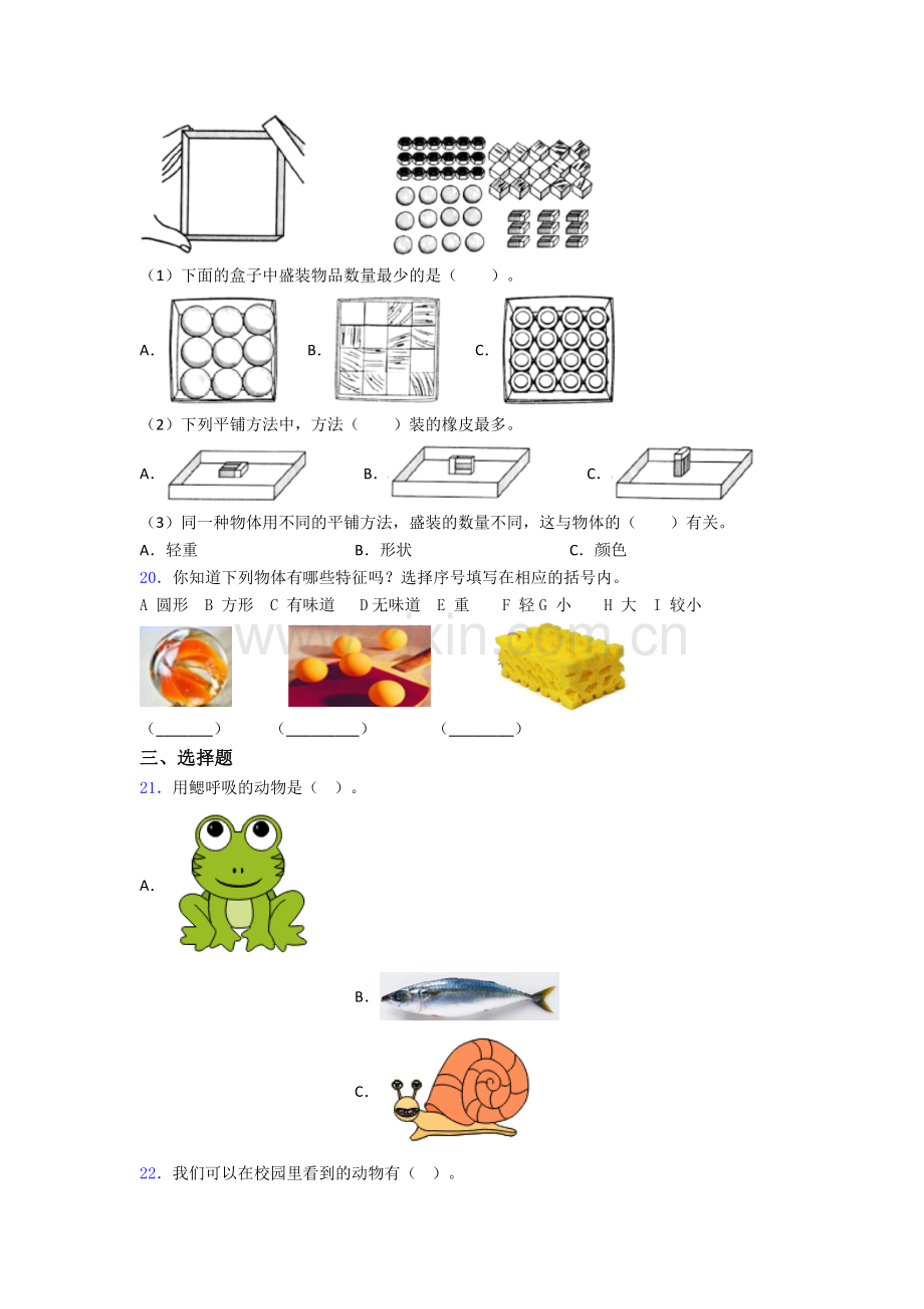 教科版一年级科学下册期末试卷测试卷(含答案解析).doc_第3页