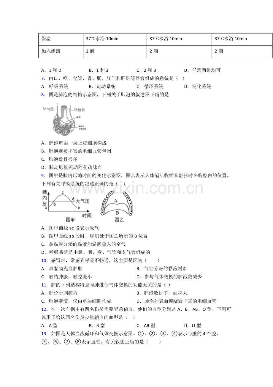 2024年人教版中学初一下册生物期中综合复习卷(含答案).doc_第2页