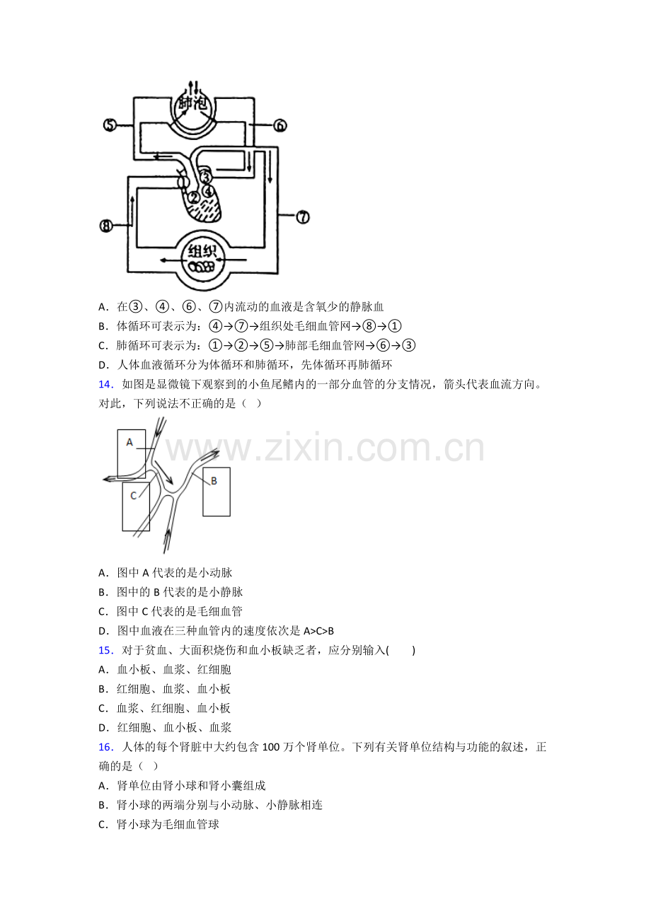 2024年人教版中学初一下册生物期中综合复习卷(含答案).doc_第3页