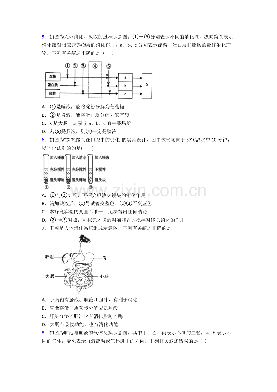 人教版中学初一下册生物期中质量监测(附解析)图文.doc_第2页