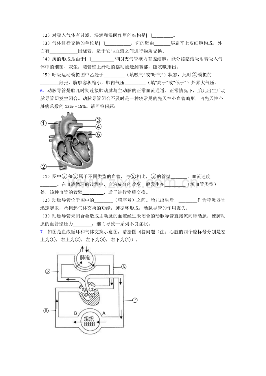 人教版七年级生物下册期末解答实验探究大题测试及答案优秀.doc_第3页