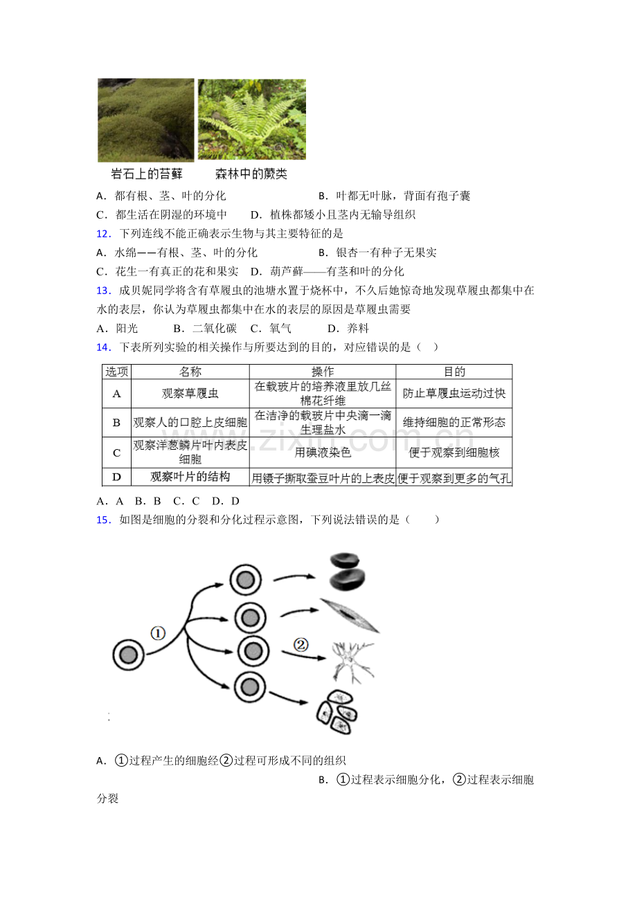 大连市大连市第六十五中学七年级上册期末生物试卷.doc_第3页