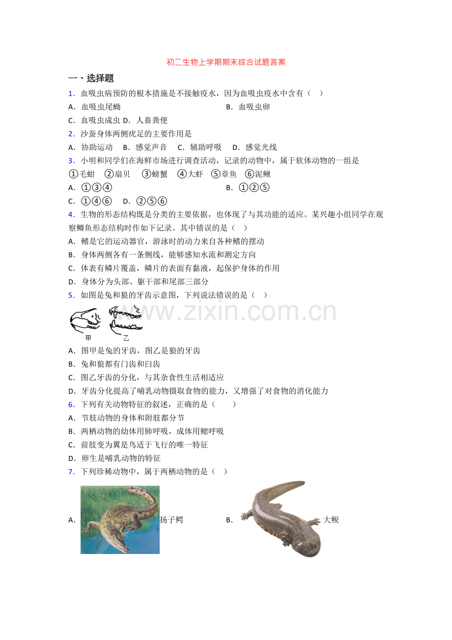 初二生物上学期期末综合试题答案.doc_第1页