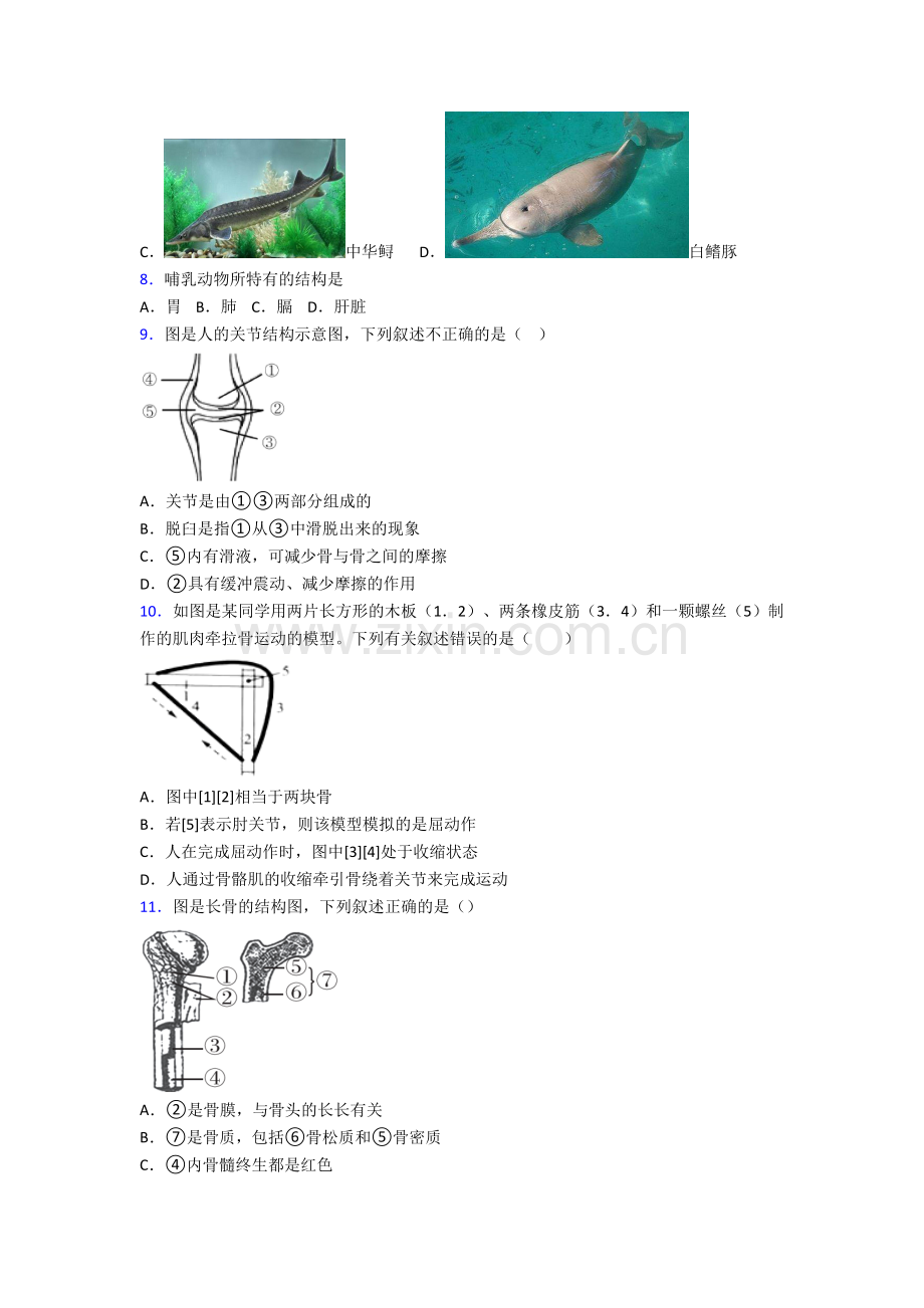 初二生物上学期期末综合试题答案.doc_第2页