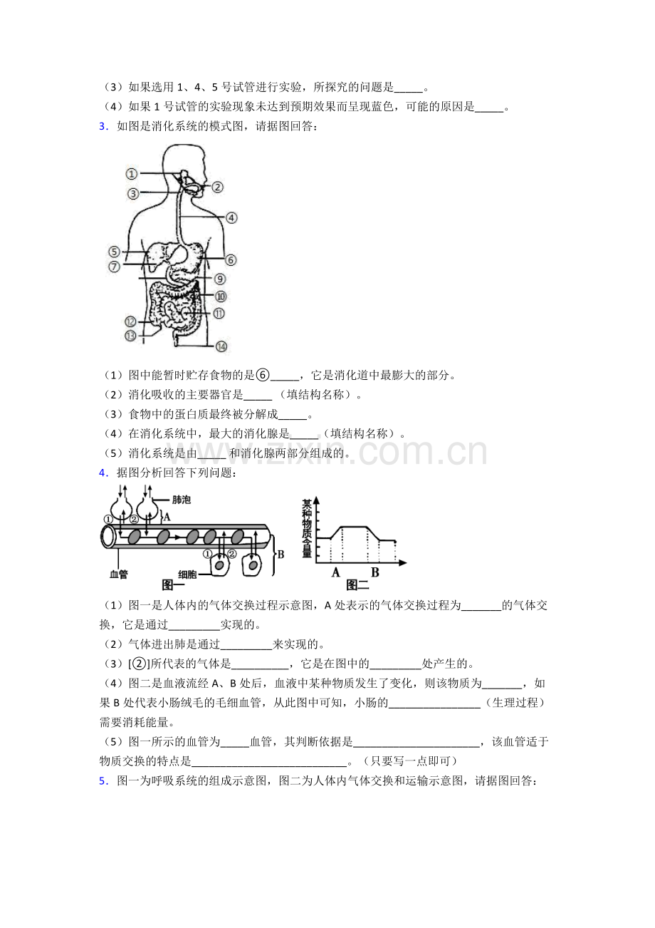 人教版中学七年级下册生物期末解答实验探究大题质量监测(含答案).doc_第2页