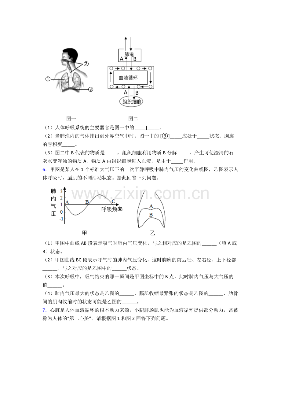 人教版中学七年级下册生物期末解答实验探究大题质量监测(含答案).doc_第3页