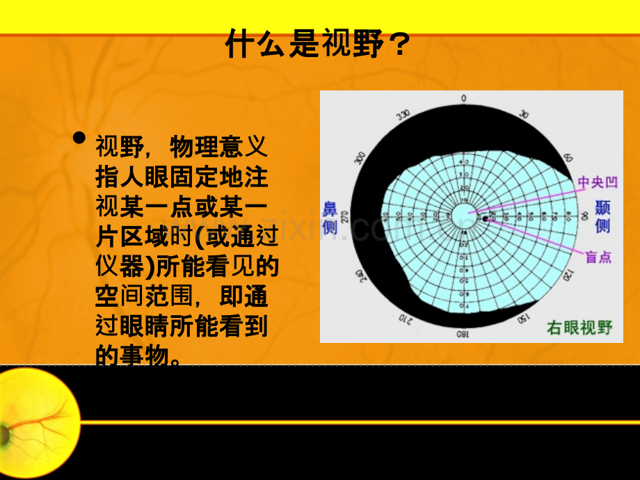 糖尿病眼病第五讲.ppt_第3页