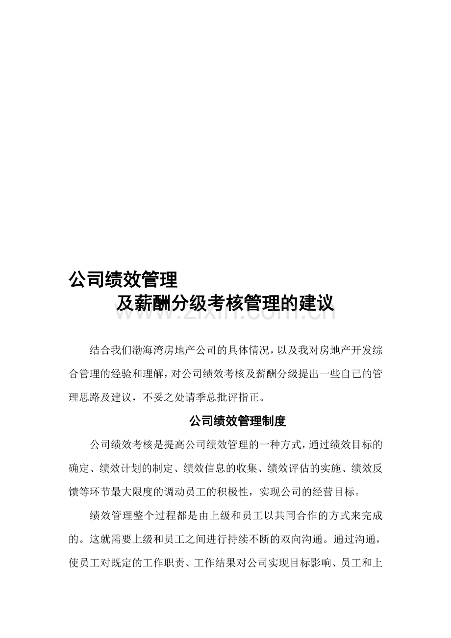 公司绩效管理及薪酬分级考核管理建议.doc_第1页