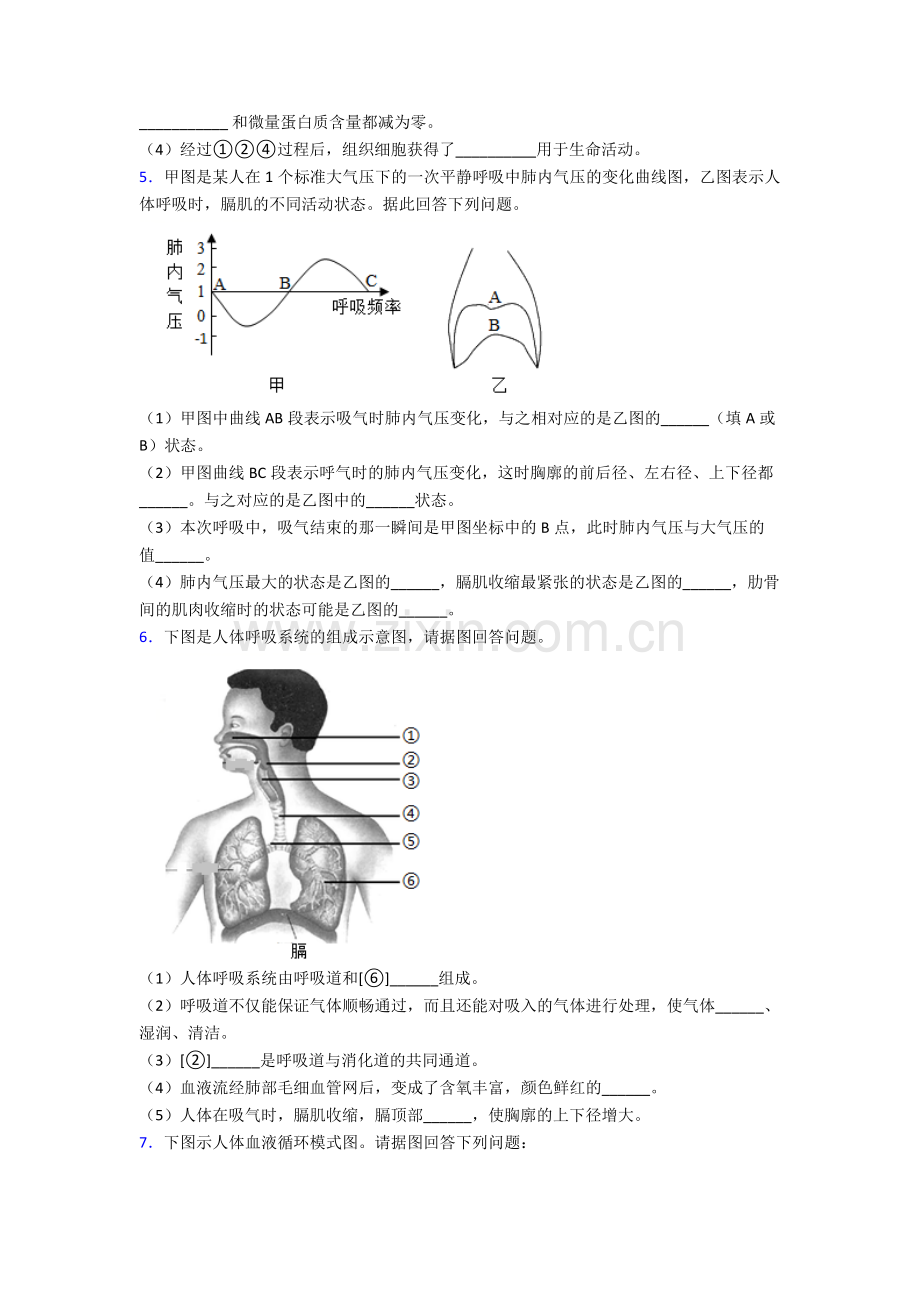 2024年人教版初一下册生物期末解答实验探究大题复习(含答案).doc_第3页