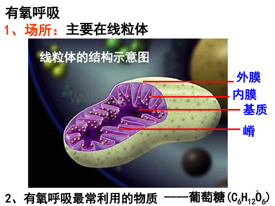 有氧呼吸课件.ppt_第3页