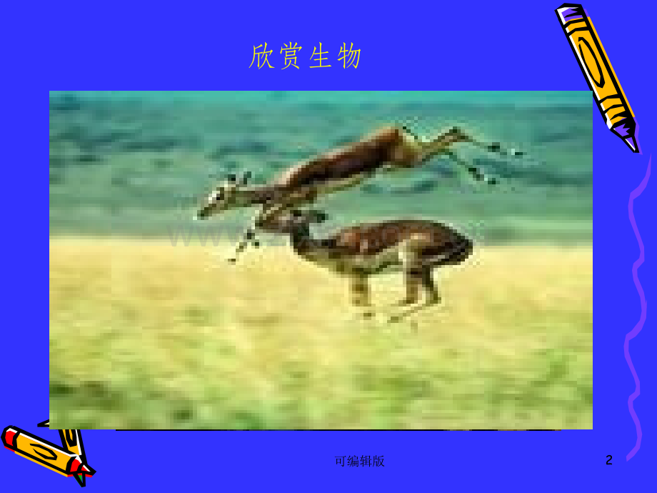 细胞的分化形成组织.ppt_第2页