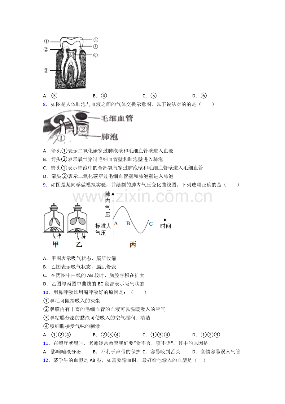 2022年人教版初一下册生物期末复习题(及解析)图文.doc_第2页