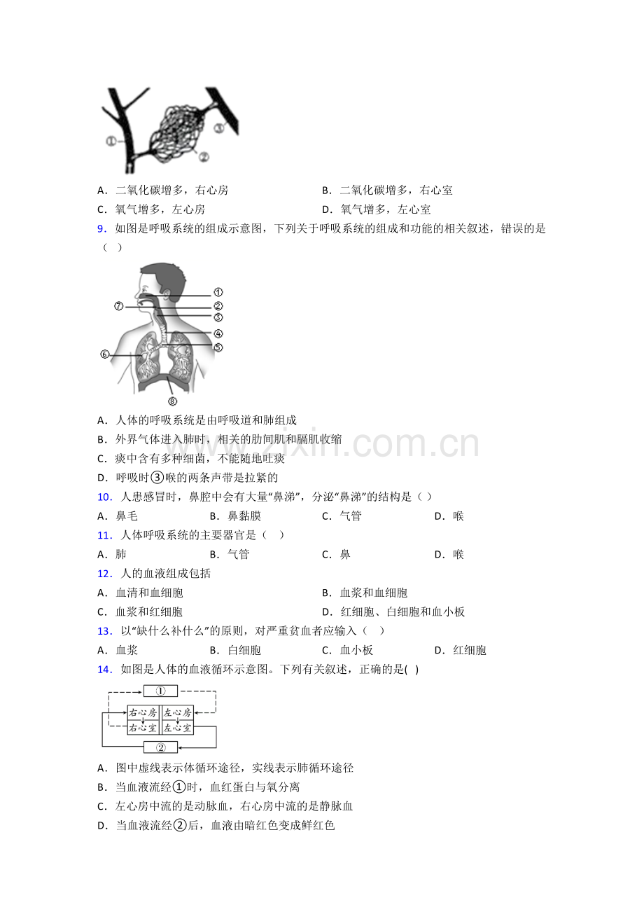 2023年人教版初一下册生物期中质量监测题(附答案)图文.doc_第2页