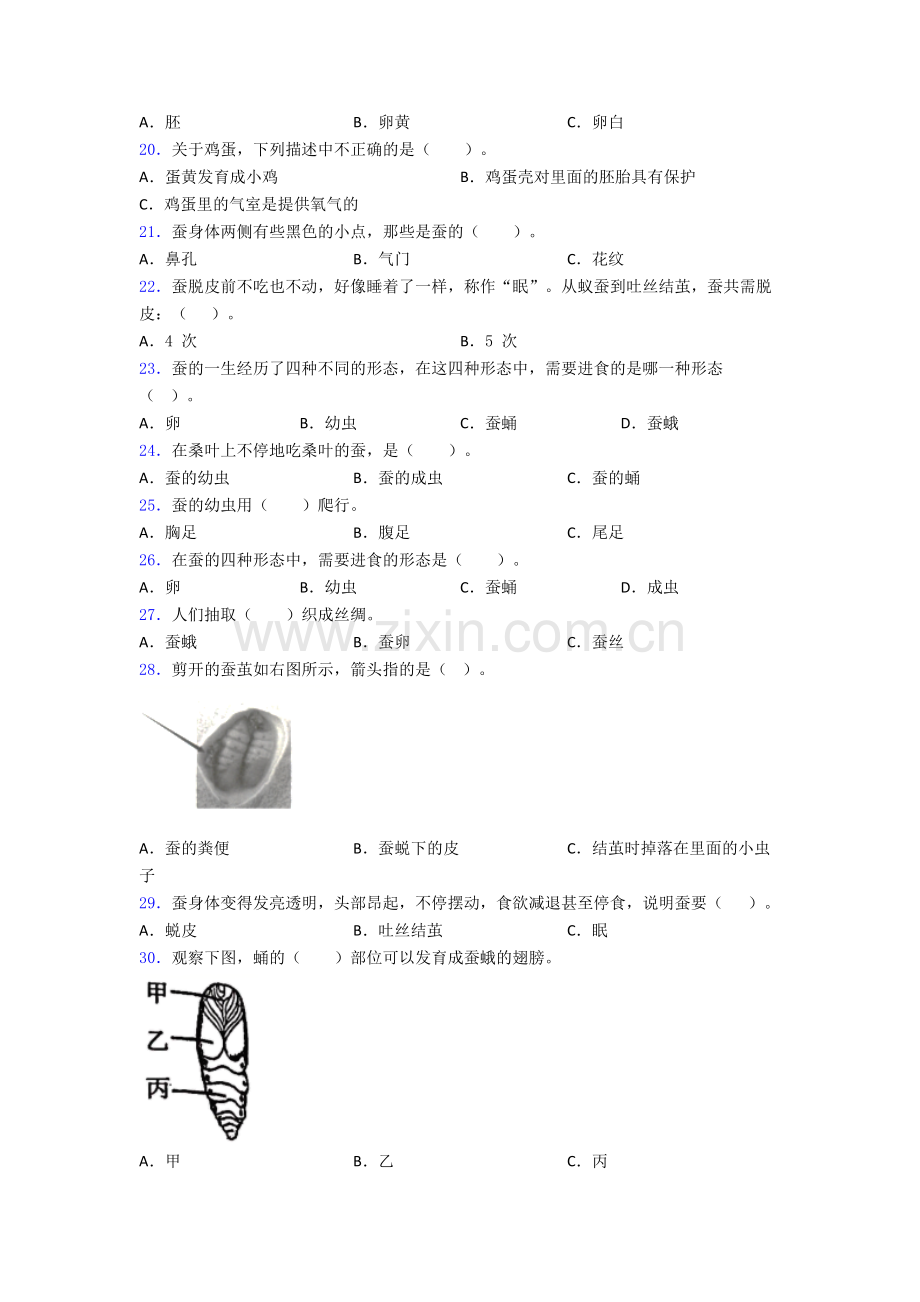 教科版三年级下册科学期末试卷综合测试(Word版含答案).doc_第3页