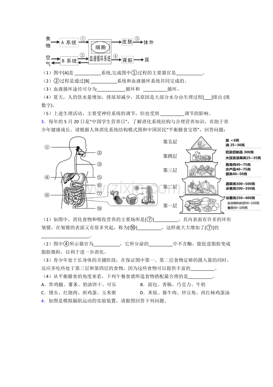 人教版中学七年级下册生物期末解答实验探究大题复习含答案.doc_第2页