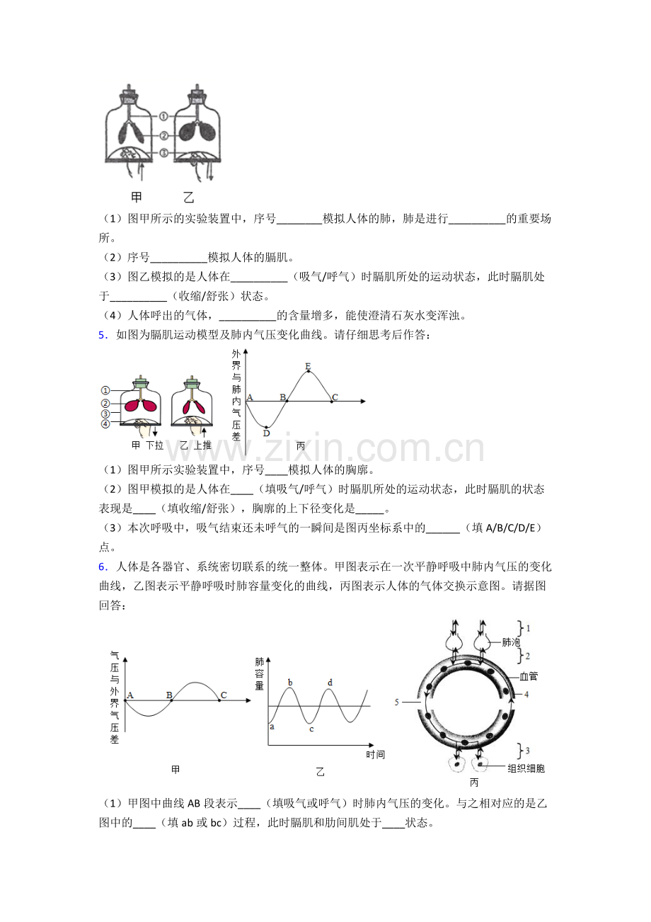 人教版中学七年级下册生物期末解答实验探究大题复习含答案.doc_第3页