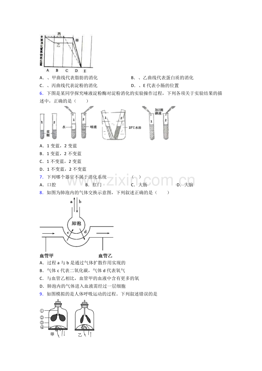 人教七年级下册生物期末综合复习题(及答案)图文.doc_第2页