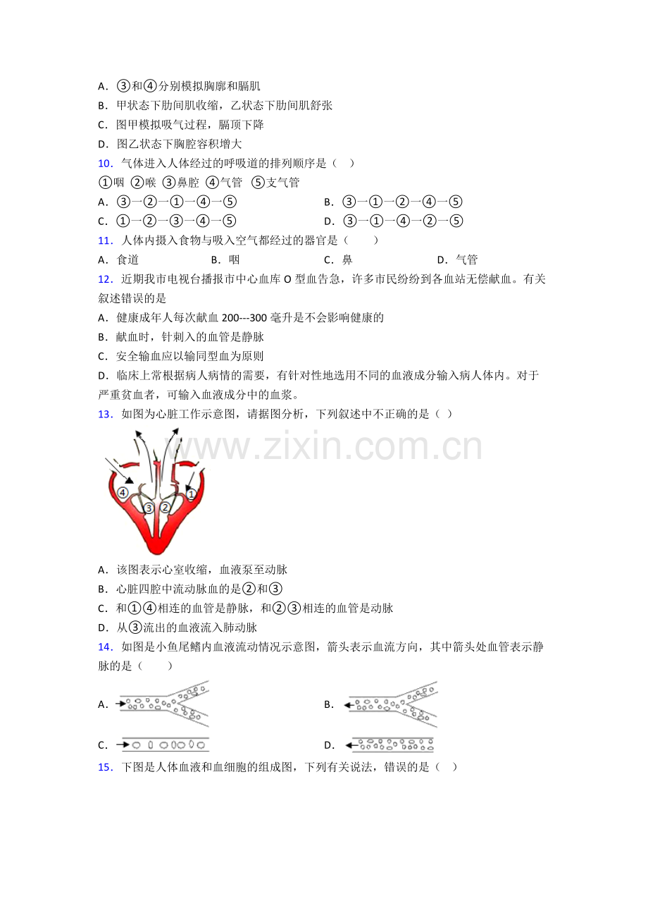 人教七年级下册生物期末综合复习题(及答案)图文.doc_第3页