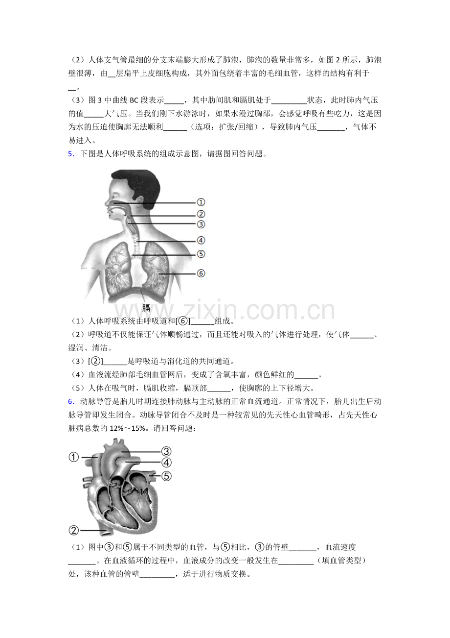 人教版中学七年级下册生物期末解答实验探究大题学业水平卷附答案大全.doc_第3页