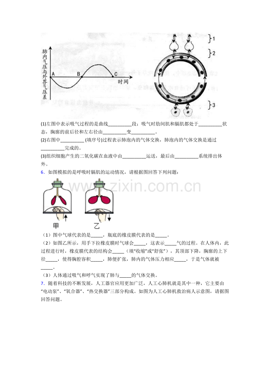 人教版中学七年级下册生物期末解答实验探究大题复习题附解析.doc_第3页