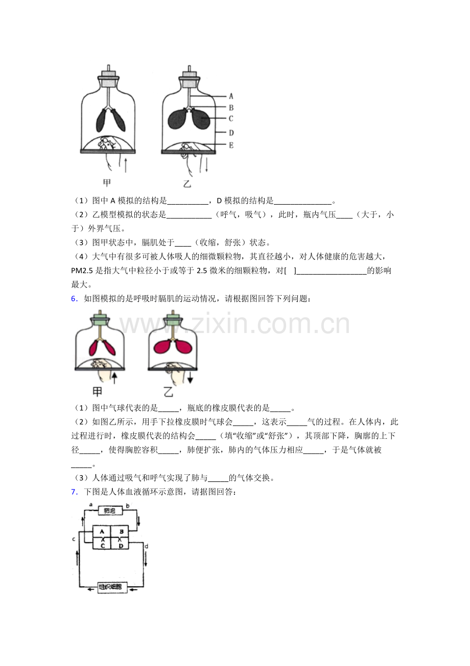 2022年人教版中学初一下册生物期末解答实验探究大题综合复习(及答案)经典.doc_第3页