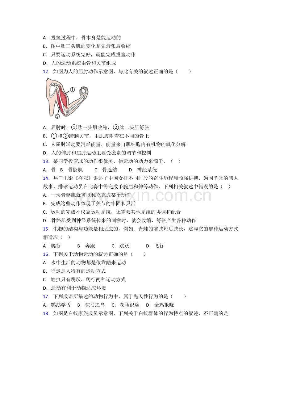 青岛智荣南校中学生物八年级上册期末试卷含答案[002].doc_第3页