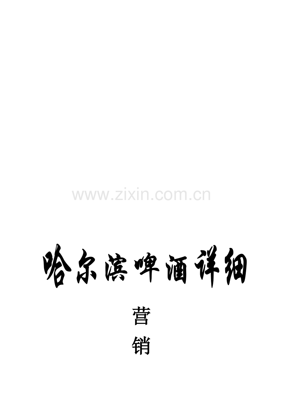 哈尔滨啤酒营销方案.doc_第2页