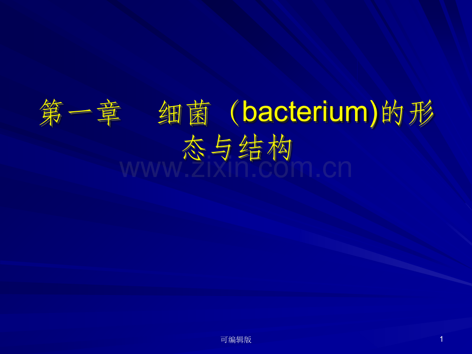 细菌形态与结构(2).ppt_第1页