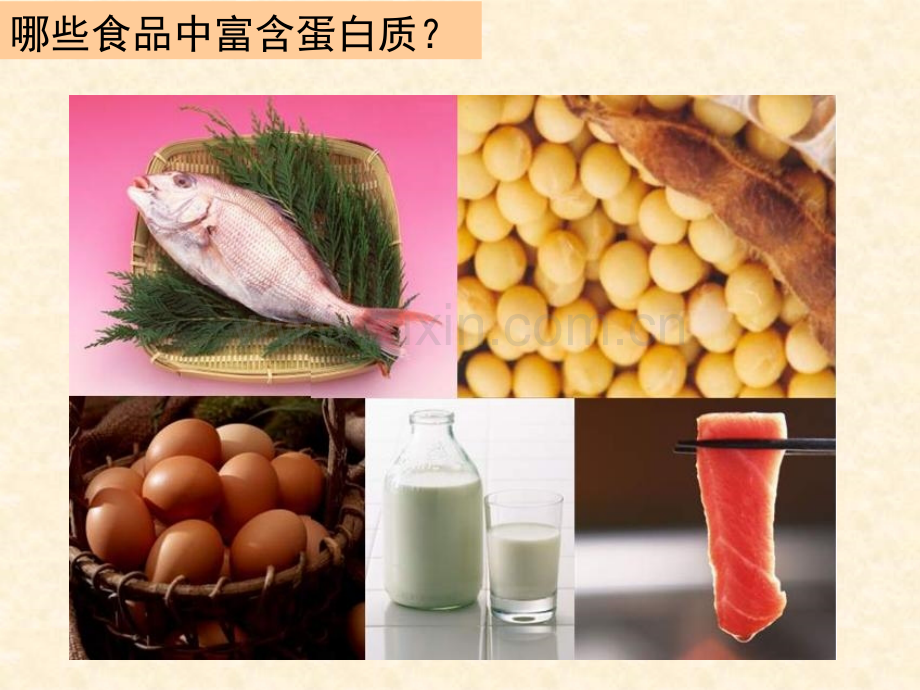 细胞中的蛋白质.ppt_第3页