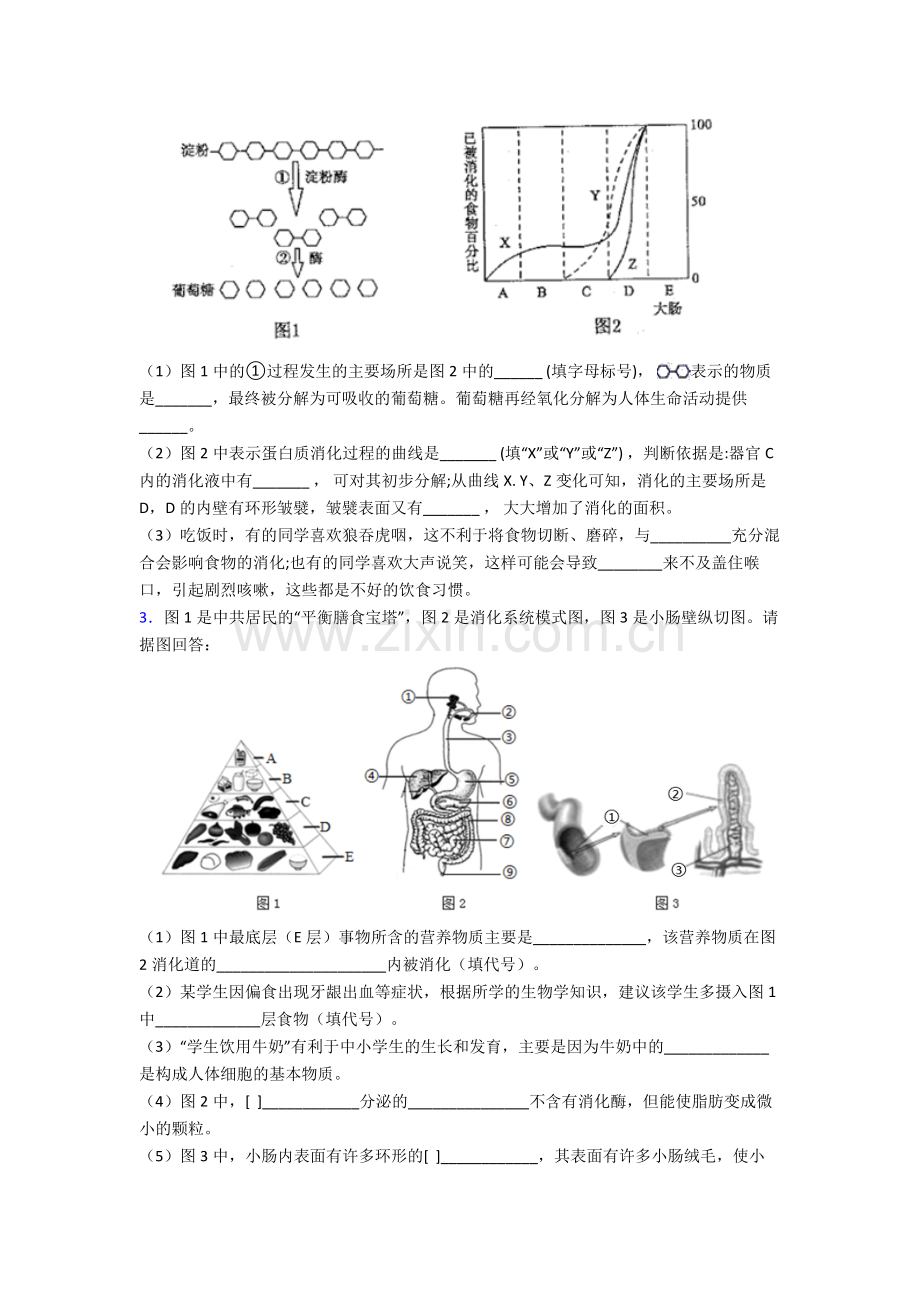 人教版七年级下册生物期末解答实验探究大题质量监测卷及解析word.doc_第2页