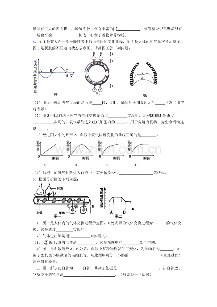 人教版七年级下册生物期末解答实验探究大题质量监测卷及解析word.doc_第3页