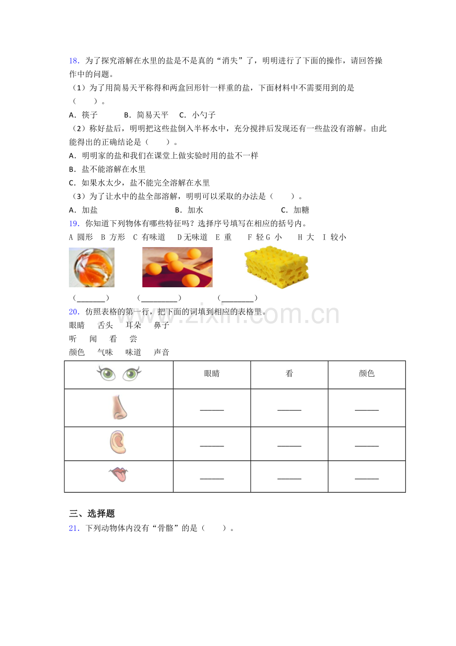 教科版科学一年级下册期末试卷综合测试(Word版含答案).doc_第3页