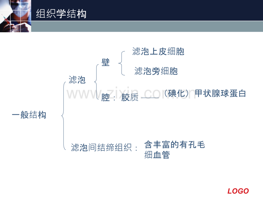 甲状腺常见疾病的CT表现.ppt_第2页